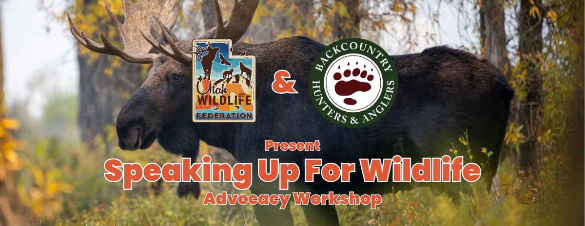 Speaking Up for Wildlife Workshop